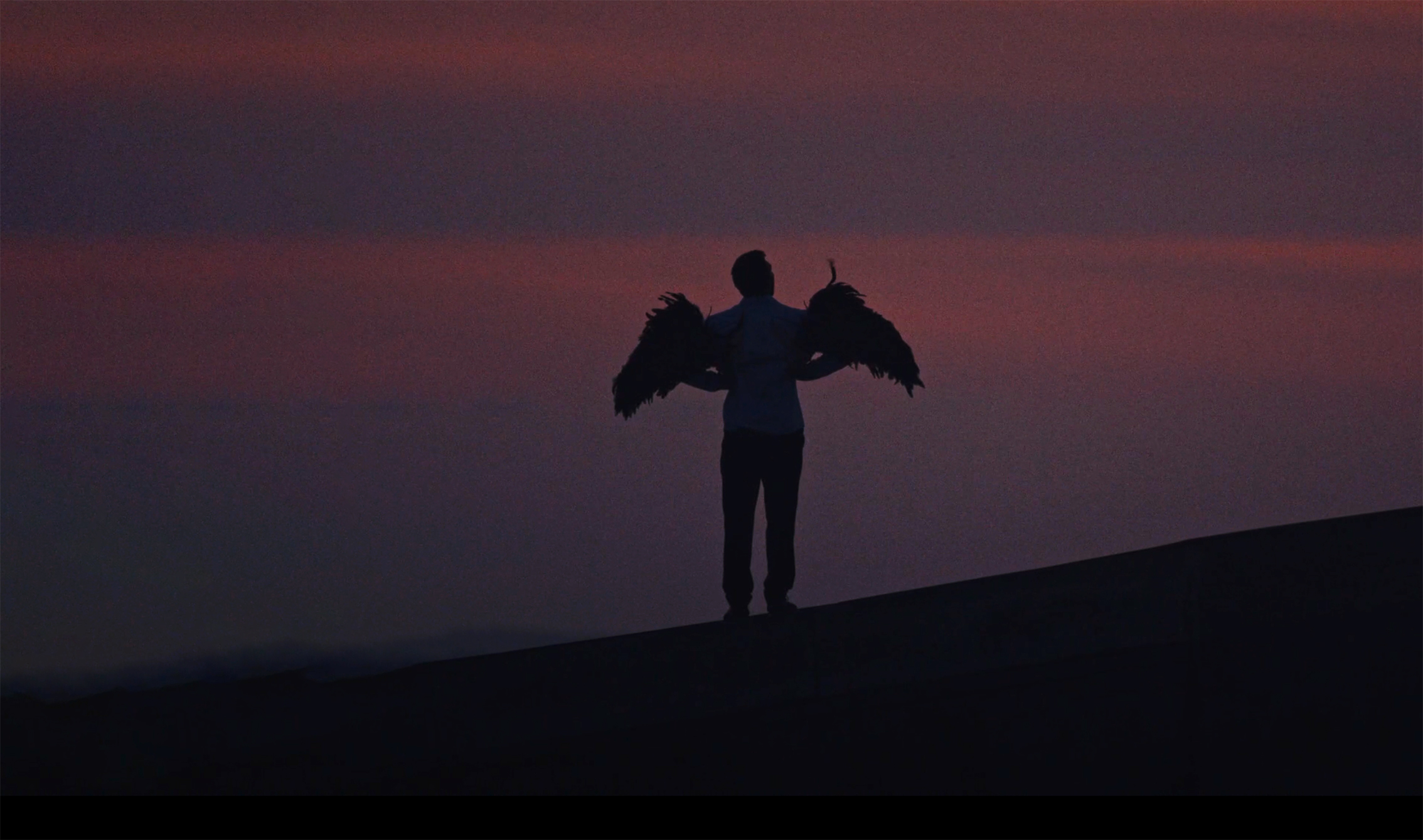 Winged silhouette against a sunset sky, I Am Super cover image